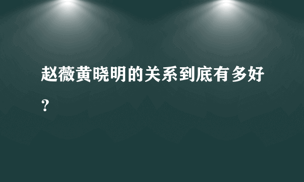 赵薇黄晓明的关系到底有多好？