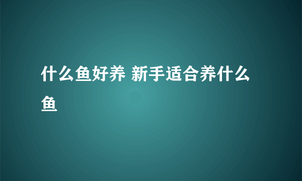 什么鱼好养 新手适合养什么鱼