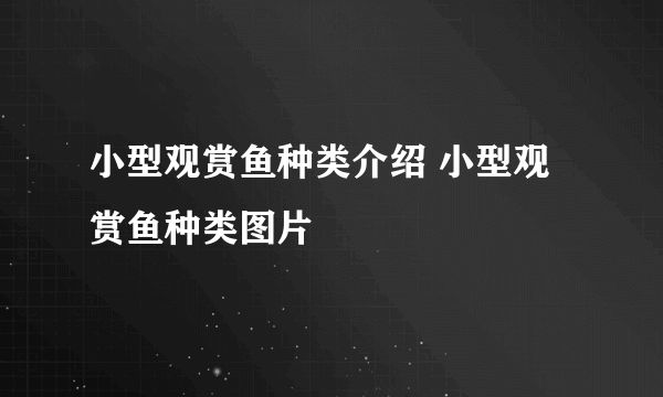 小型观赏鱼种类介绍 小型观赏鱼种类图片