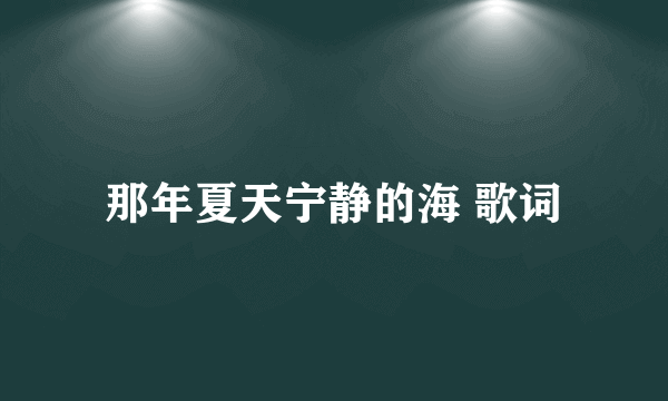 那年夏天宁静的海 歌词