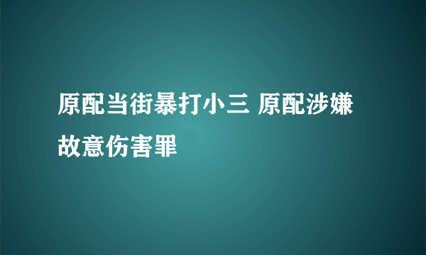 原配当街暴打小三 原配涉嫌故意伤害罪