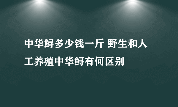 中华鲟多少钱一斤 野生和人工养殖中华鲟有何区别