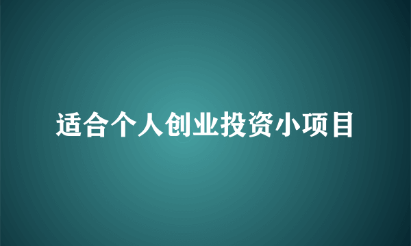 适合个人创业投资小项目