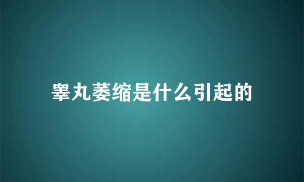 睾丸萎缩是什么引起的