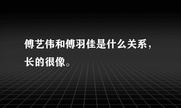 傅艺伟和傅羽佳是什么关系，长的很像。