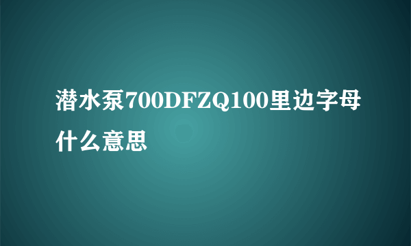 潜水泵700DFZQ100里边字母什么意思