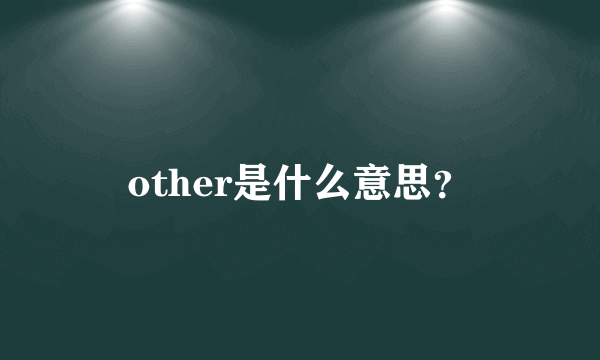 other是什么意思？