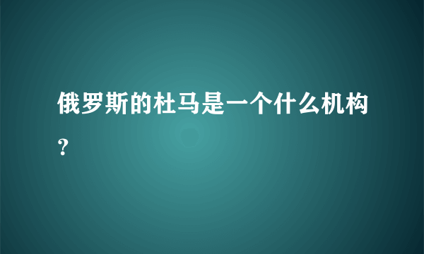 俄罗斯的杜马是一个什么机构？