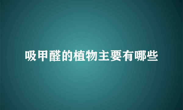 吸甲醛的植物主要有哪些