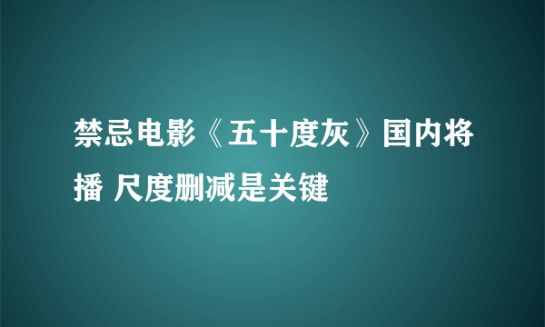 禁忌电影《五十度灰》国内将播 尺度删减是关键