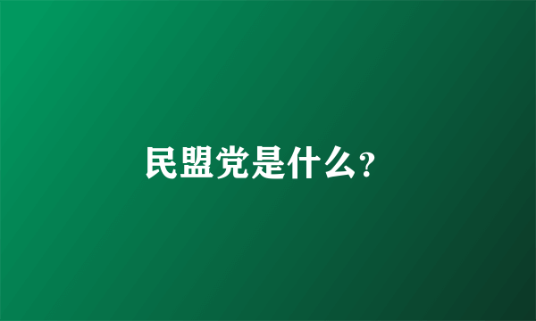 民盟党是什么？