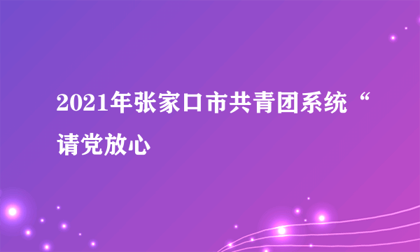 2021年张家口市共青团系统“请党放心