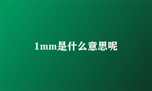 1mm是什么意思呢