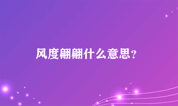 风度翩翩什么意思？