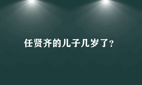 任贤齐的儿子几岁了？