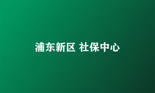 浦东新区 社保中心