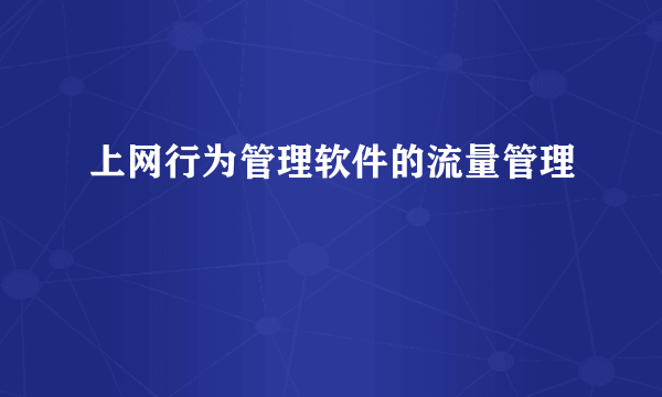 上网行为管理软件的流量管理