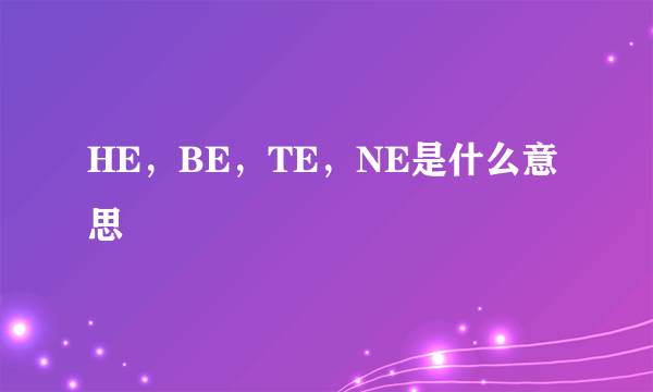 HE，BE，TE，NE是什么意思