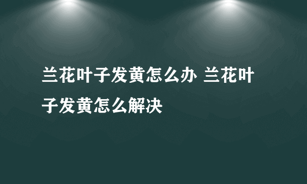 兰花叶子发黄怎么办 兰花叶子发黄怎么解决