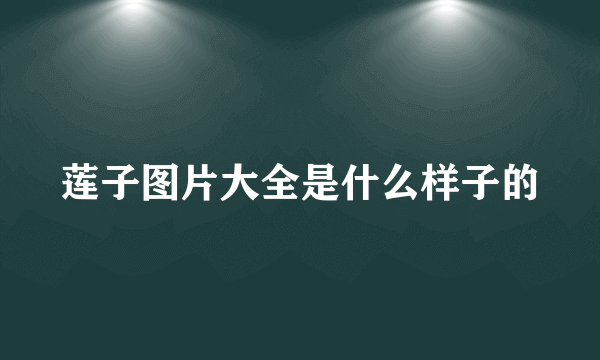 莲子图片大全是什么样子的