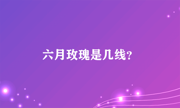 六月玫瑰是几线？