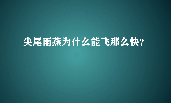 尖尾雨燕为什么能飞那么快？