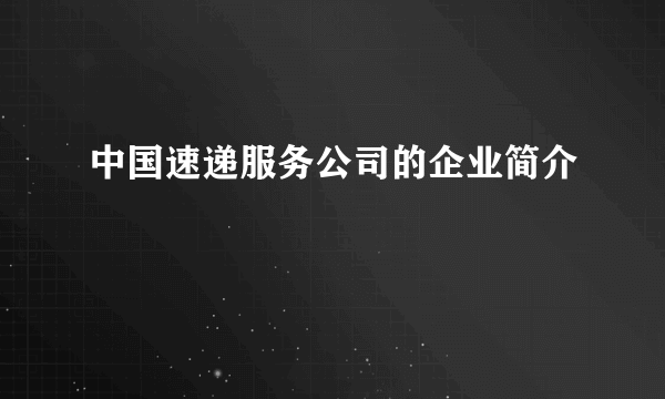 中国速递服务公司的企业简介