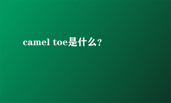 camel toe是什么？