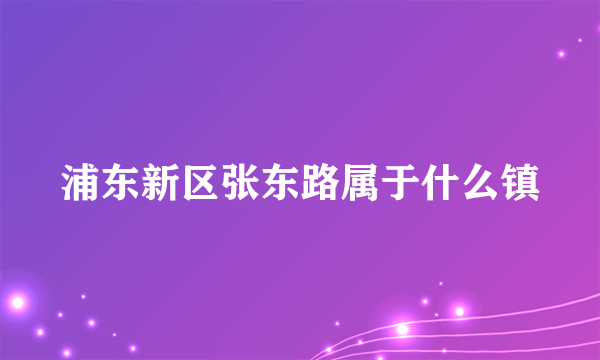 浦东新区张东路属于什么镇