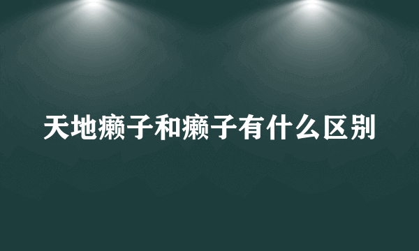 天地癞子和癞子有什么区别