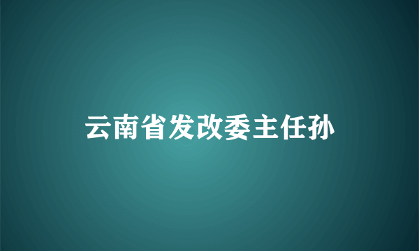 云南省发改委主任孙