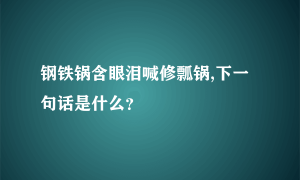 钢铁锅含眼泪喊修瓢锅,下一句话是什么？