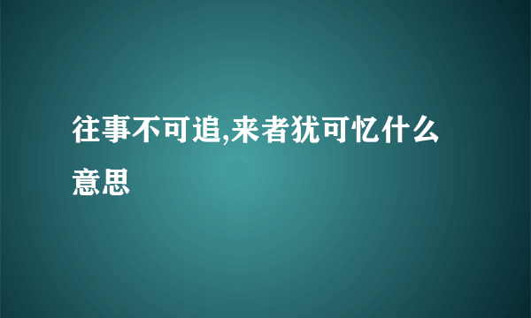 往事不可追,来者犹可忆什么意思