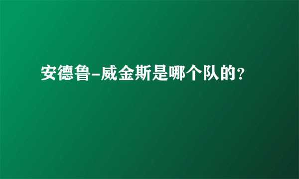 安德鲁-威金斯是哪个队的？