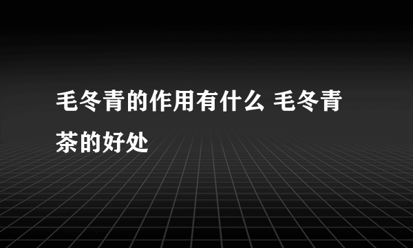 毛冬青的作用有什么 毛冬青茶的好处