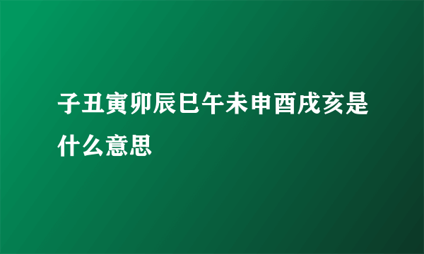 子丑寅卯辰巳午未申酉戌亥是什么意思