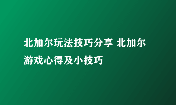 北加尔玩法技巧分享 北加尔游戏心得及小技巧