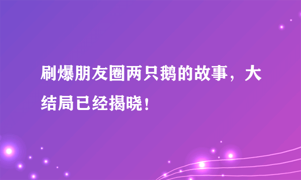 刷爆朋友圈两只鹅的故事，大结局已经揭晓！