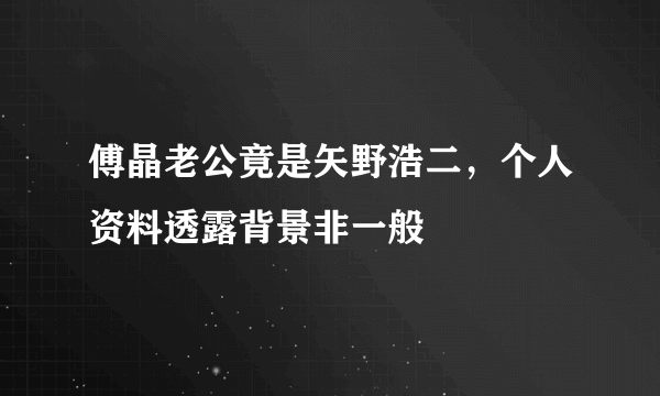 傅晶老公竟是矢野浩二，个人资料透露背景非一般 