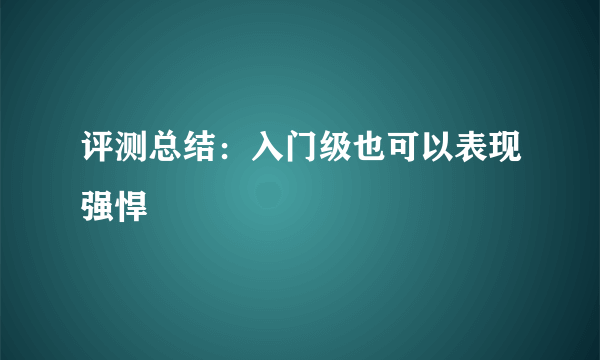 评测总结：入门级也可以表现强悍