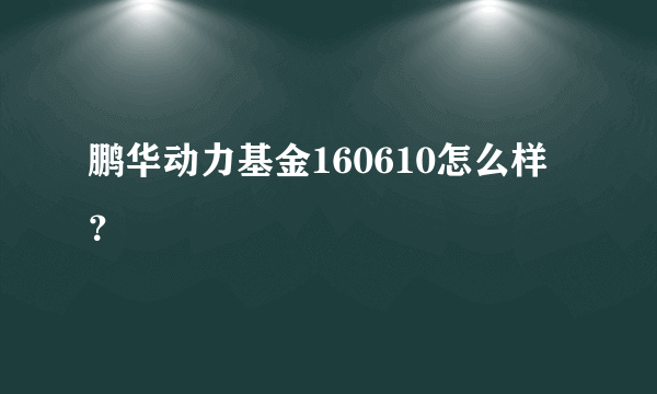 鹏华动力基金160610怎么样？