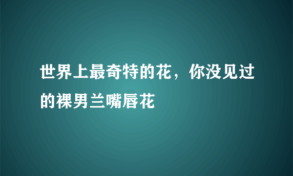 世界上最奇特的花，你没见过的裸男兰嘴唇花