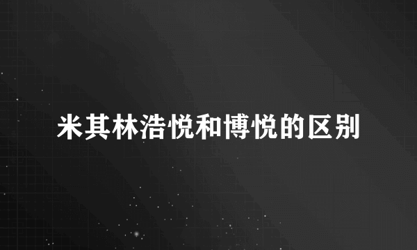 米其林浩悦和博悦的区别