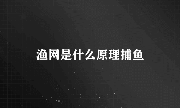 渔网是什么原理捕鱼