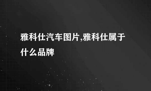 雅科仕汽车图片,雅科仕属于什么品牌