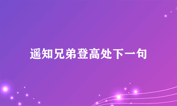 遥知兄弟登高处下一句