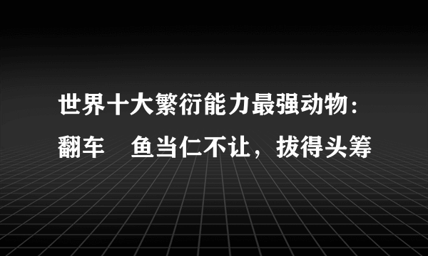 世界十大繁衍能力最强动物：翻车鲀鱼当仁不让，拔得头筹 