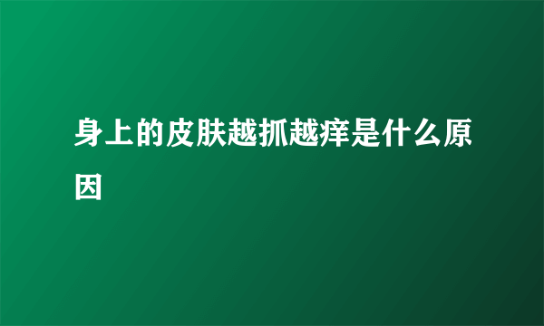 身上的皮肤越抓越痒是什么原因