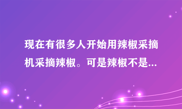 现在有很多人开始用辣椒采摘机采摘辣椒。可是辣椒不是一次性全部成熟。使如何解决这个问题的。