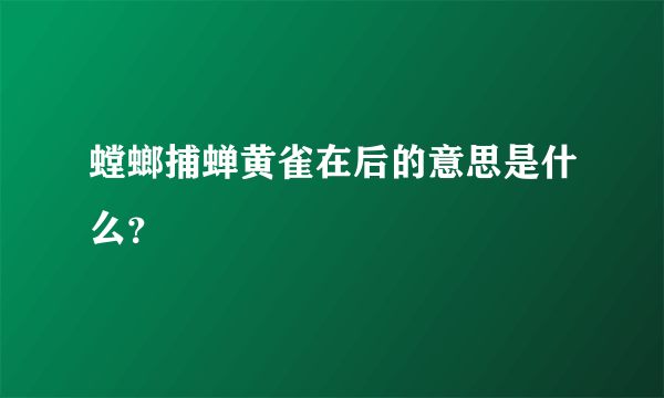 螳螂捕蝉黄雀在后的意思是什么？